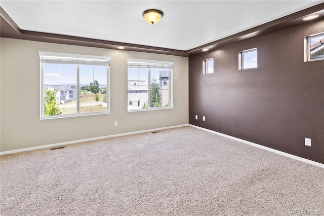 3600 Kirkwood Ln, Johnstown, CO 80534 - photo 20