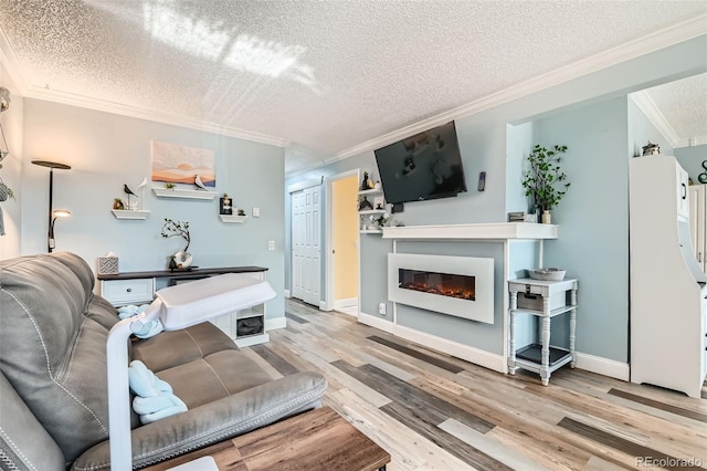 living room featuring crown molding, light hardwood / wood-style floors, and a textured ceiling