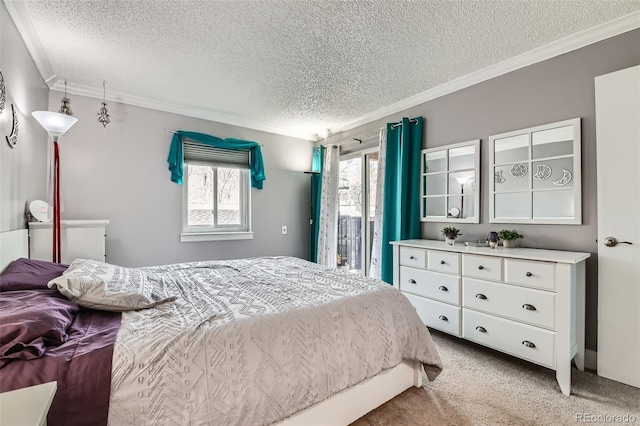 bedroom with ornamental molding, access to exterior, light carpet, and a textured ceiling