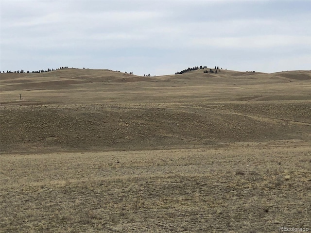 00 County Road 53, Hartsel, CO 80449 - photo 3