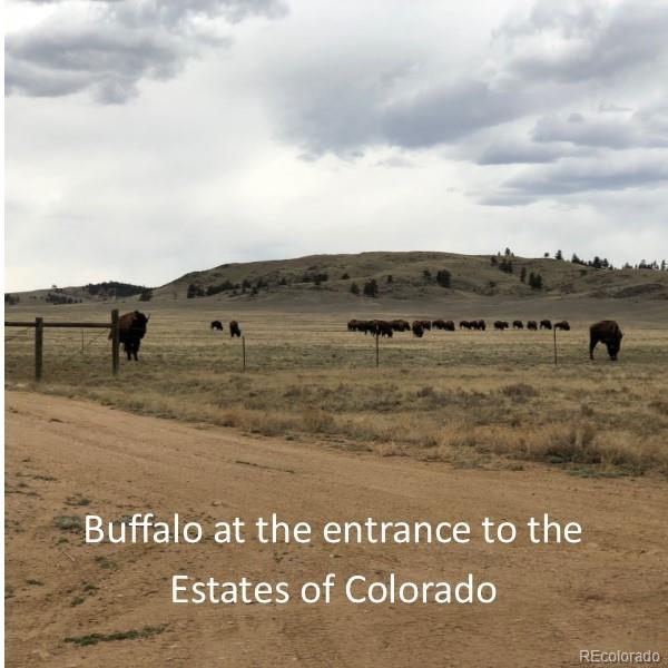 00 County Road 53, Hartsel, CO 80449 - photo 12