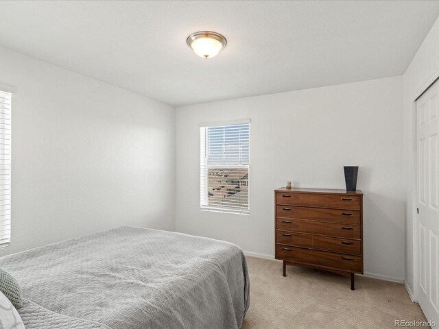 6024 High Timber Cir, Castle Rock, CO 80104 - photo 25