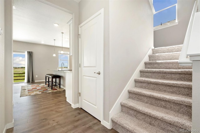 4209 Fox Grove Dr, Fort Collins, CO 80524 - staircase featuring wood finished floors and baseboards