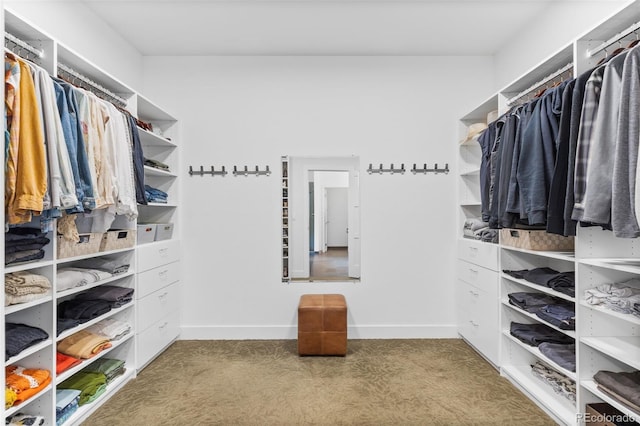 walk in closet with carpet