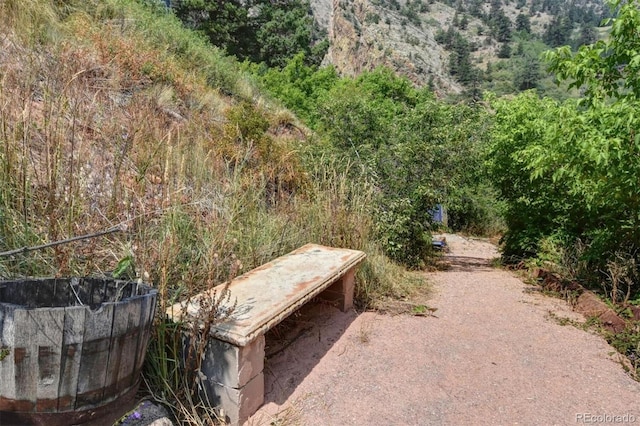 view of yard featuring a wooded view