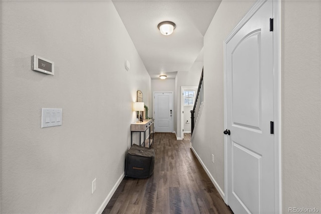 5297 Blue Lunar Ln, Castle Rock, CO 80104 - photo 8