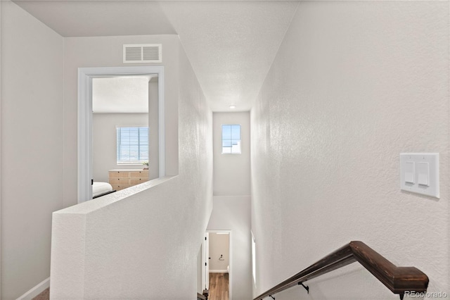 5297 Blue Lunar Ln, Castle Rock, CO 80104 - photo 29