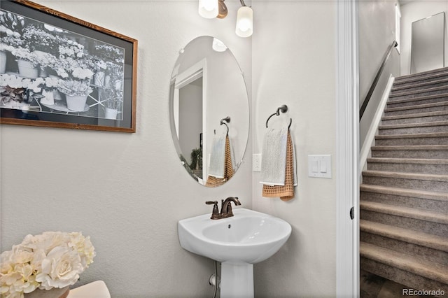 5297 Blue Lunar Ln, Castle Rock, CO 80104 - photo 22