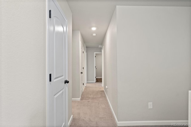 5297 Blue Lunar Ln, Castle Rock, CO 80104 - photo 30