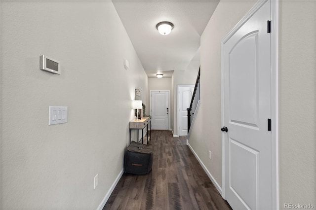 5297 Blue Lunar Ln, Castle Rock, CO 80104 - photo 9