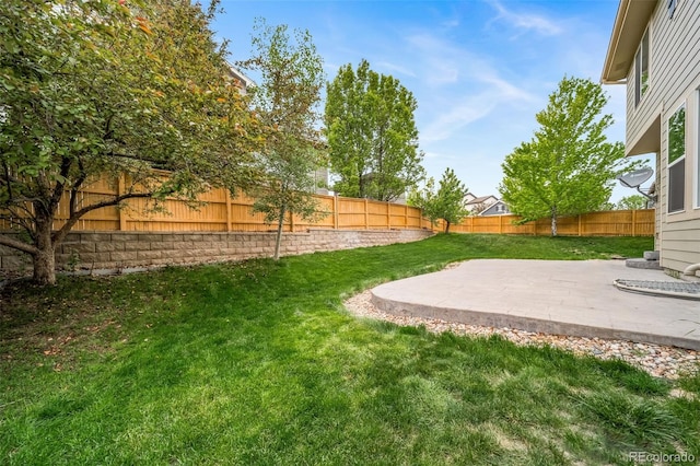 view of yard featuring a patio