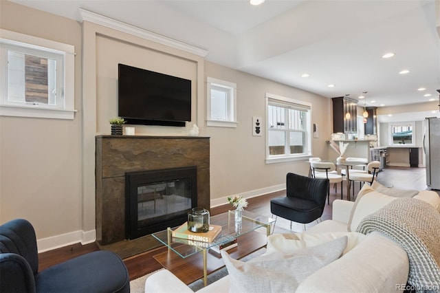 815 S Gaylord St, Denver, CO 80209 - living area with a premium fireplace, wood finished floors, and recessed lighting