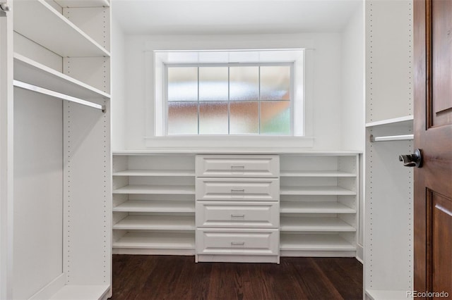 815 S Gaylord St, Denver, CO 80209 - spacious closet featuring dark wood-style flooring