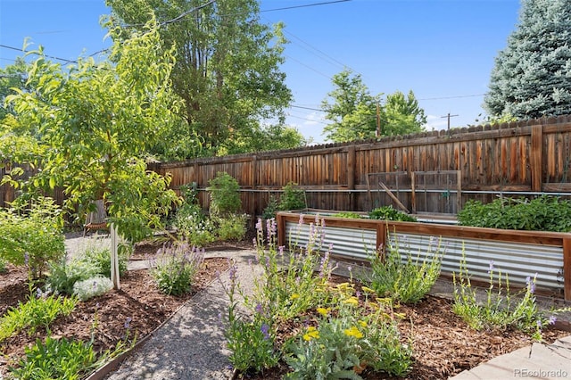 815 S Gaylord St, Denver, CO 80209 - view of yard with a vegetable garden