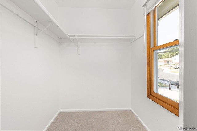 9596 Everett Ct, Westminster, CO 80021 - photo 18