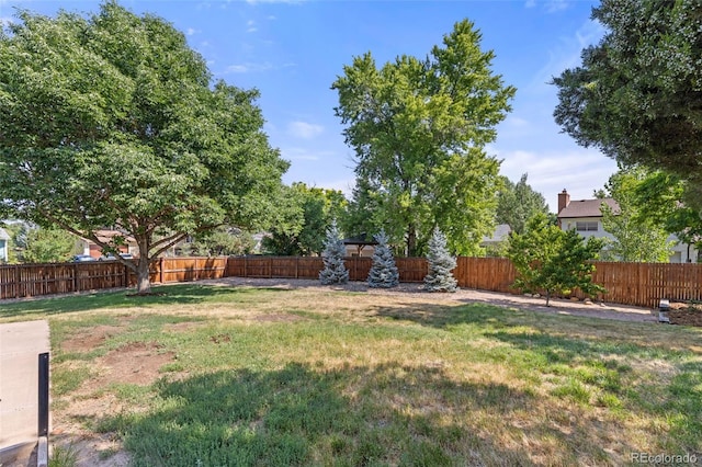 9596 Everett Ct, Westminster, CO 80021 - photo 30