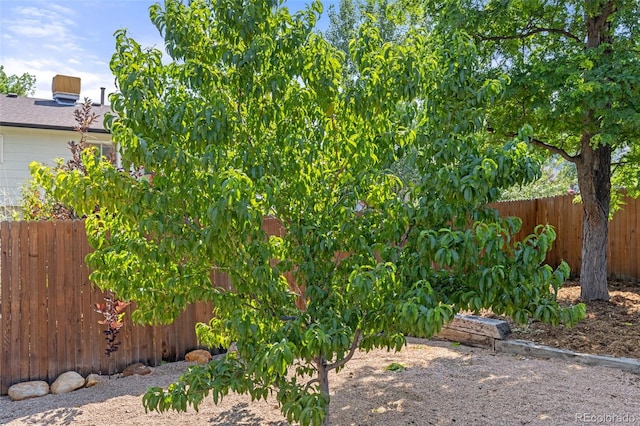 9596 Everett Ct, Westminster, CO 80021 - photo 31