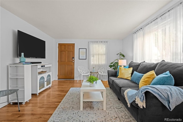 5465 Saulsbury Ct, Arvada, CO 80002 - living area featuring light wood-type flooring and baseboards