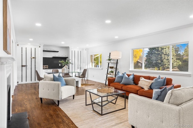 living room featuring crown molding and light hardwood / wood-style floors