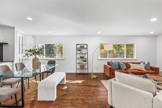 living room with dark hardwood / wood-style flooring