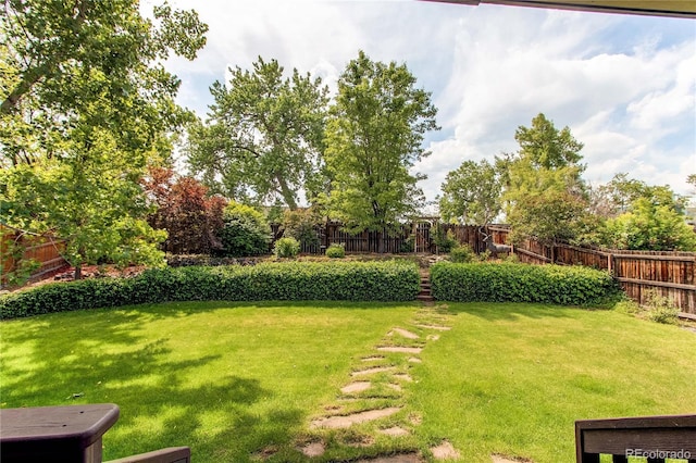 6687 Devinney Ct, Arvada, CO 80004 - view of yard