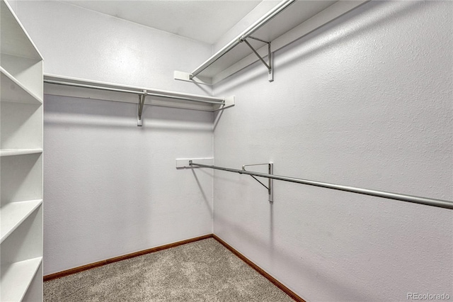 walk in closet featuring carpet