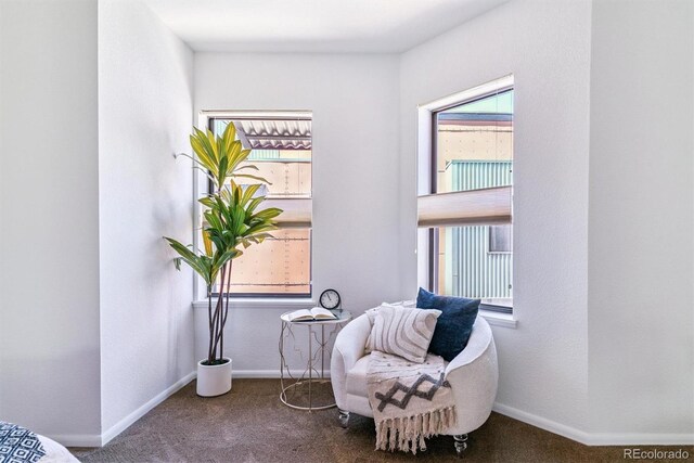 3195 Blake St Unit 201, Denver, CO 80205 - photo 24