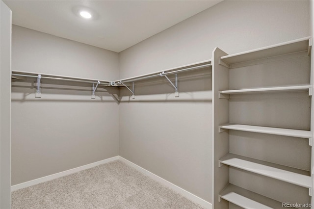 spacious closet featuring carpet floors