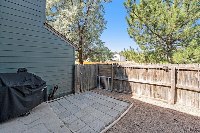 view of patio / terrace with a grill