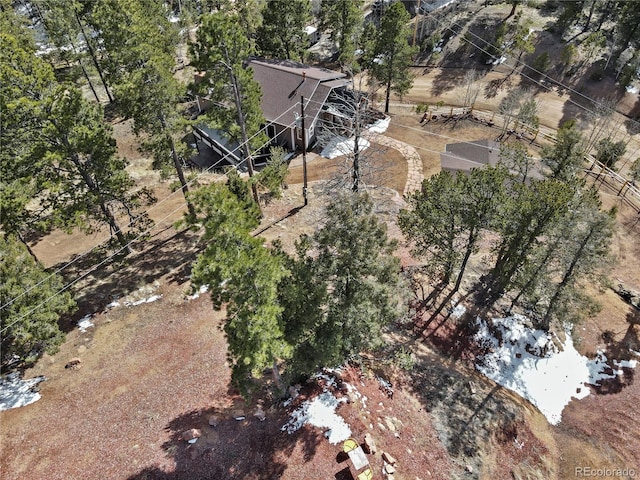 396 Mohawk Hts, Florissant, CO 80816 - aerial view
