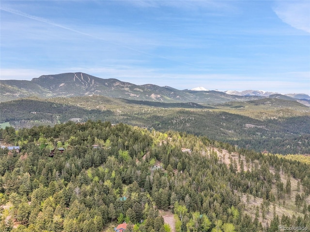 26752 Vosler St, Conifer, CO 80433 - view of mountain background featuring a forest