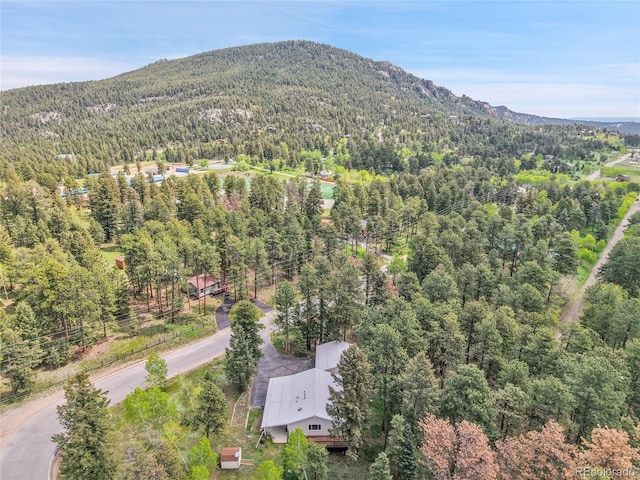 26752 Vosler St, Conifer, CO 80433 - drone / aerial view of a forest and a mountainous background