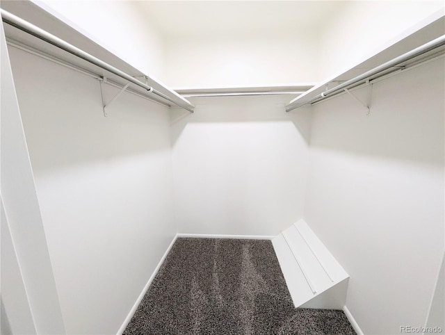 walk in closet featuring carpet flooring