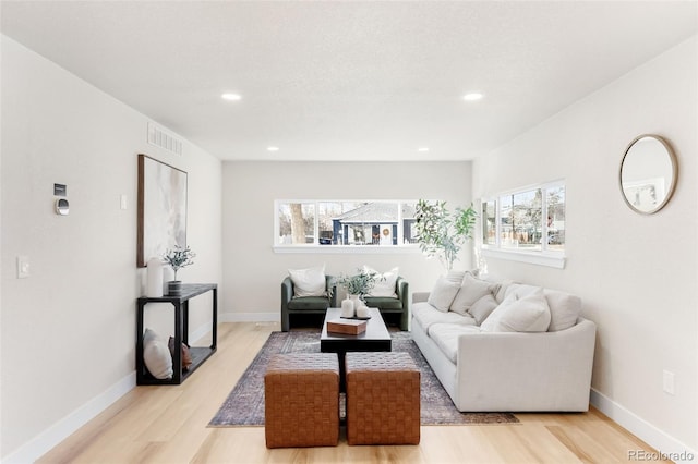 living room with light wood-type flooring and plenty of natural light