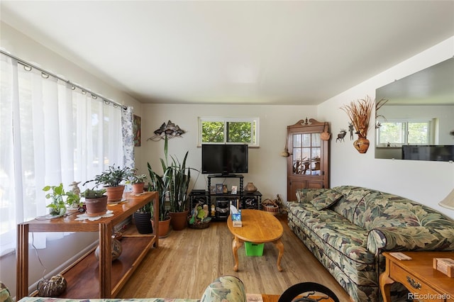 9830 E 5th Ave N, Aurora, CO 80010 - living room featuring healthy amount of natural light and wood finished floors