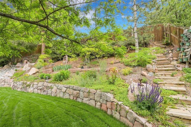7030 S Fillmore Ct, Centennial, CO 80122 - view of yard with stairs