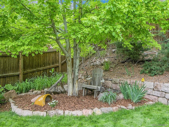 7030 S Fillmore Ct, Centennial, CO 80122 - view of yard