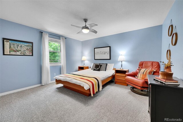 7030 S Fillmore Ct, Centennial, CO 80122 - photo 22