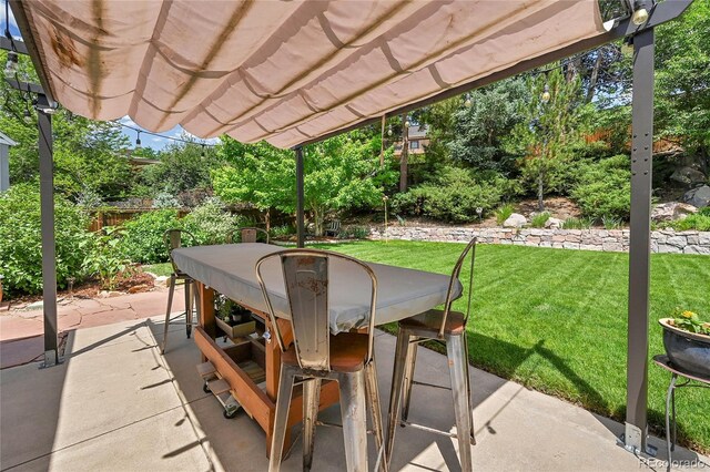 7030 S Fillmore Ct, Centennial, CO 80122 - photo 34