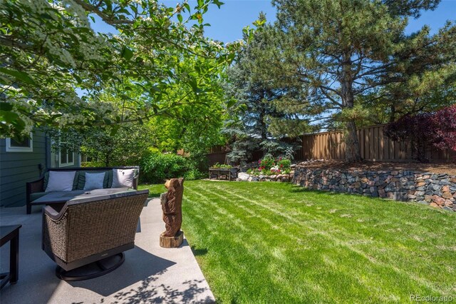 1113 Southbury Pl, Highlands Ranch, CO 80129 - view of yard with a patio