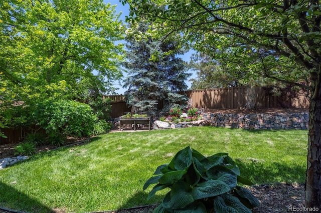 1113 Southbury Pl, Highlands Ranch, CO 80129 - view of yard
