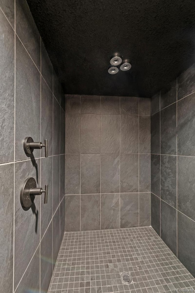 1113 Southbury Pl, Highlands Ranch, CO 80129 - bathroom with a tile shower