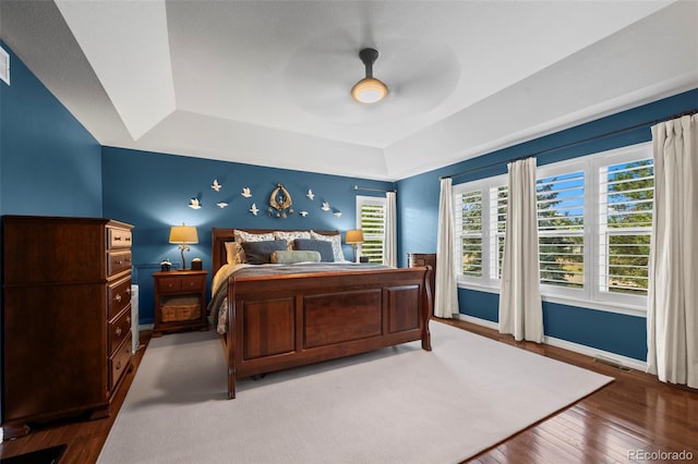 1113 Southbury Pl, Highlands Ranch, CO 80129 - bedroom with a tray ceiling, multiple windows, wood-type flooring, and baseboards