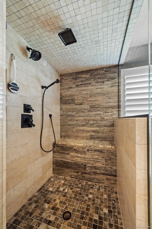1113 Southbury Pl, Highlands Ranch, CO 80129 - full bath with tiled shower
