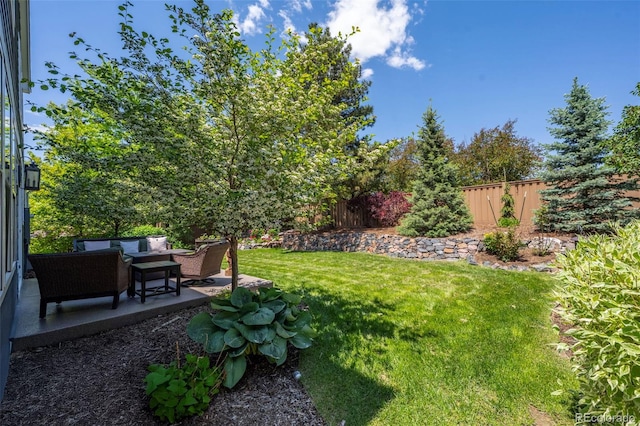 1113 Southbury Pl, Highlands Ranch, CO 80129 - view of yard featuring a patio and outdoor lounge area