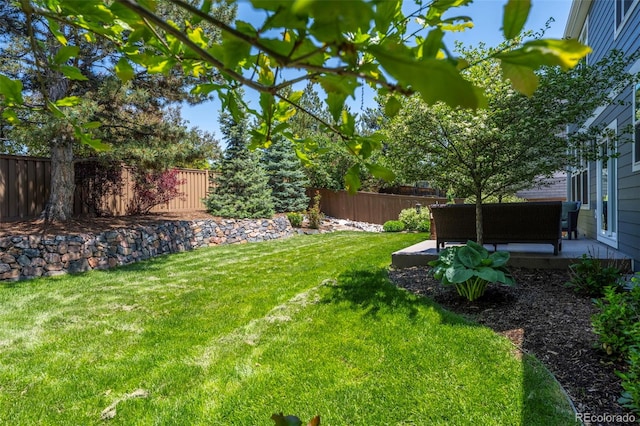 1113 Southbury Pl, Highlands Ranch, CO 80129 - view of yard featuring outdoor lounge area