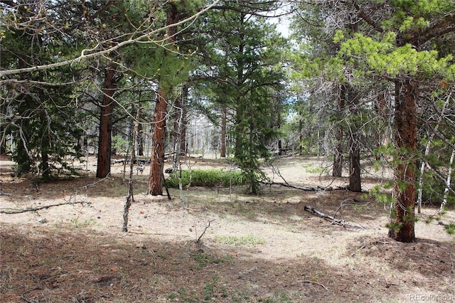 LOT10 Pinon Cir, Black Hawk, CO 80422 - photo 1