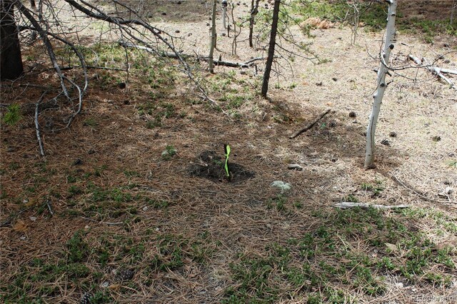 LOT10 Pinon Cir, Black Hawk, CO 80422 - photo 3
