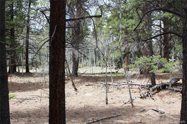 LOT10 Pinon Cir, Black Hawk, CO 80422 - photo 4