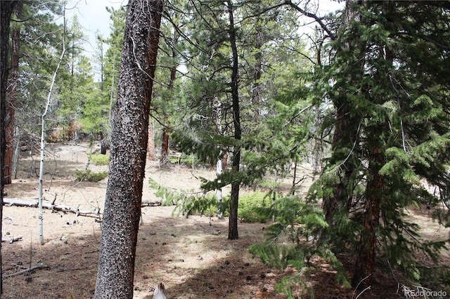 LOT10 Pinon Cir, Black Hawk, CO 80422 - photo 5